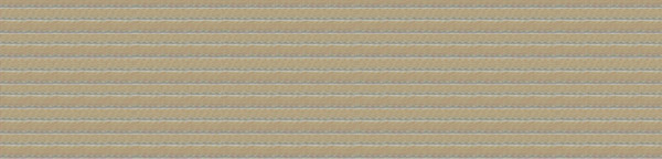 什么是魚絲帶？